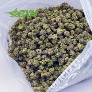 Buy Super Skunk AAAA (Popcorn) at BudExpressNOW Online Shop