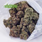 Buy Tom Ford Pink Kush (Craft) at BudExpressNOW Online Shop