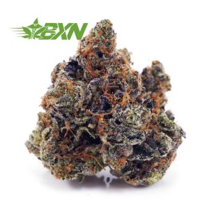 Buy Pink Gas Mask (Craft) at BudExpressNOW Online Shop