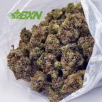 Buy Pink Gas Mask (Craft) at BudExpressNOW Online Shop