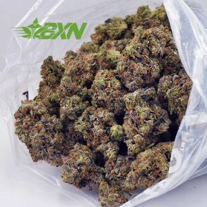 Buy Pink Gas Mask (Craft) at BudExpressNOW Online Shop