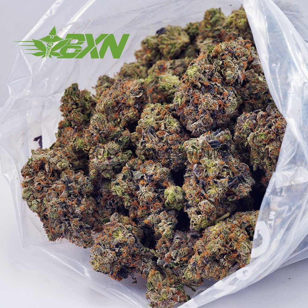 Buy Pink Gas Mask (Craft) at BudExpressNOW Online Shop