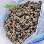 Buy Khalifa Kush AAAA (Popcorn) at BudExpressNOW Online Shop