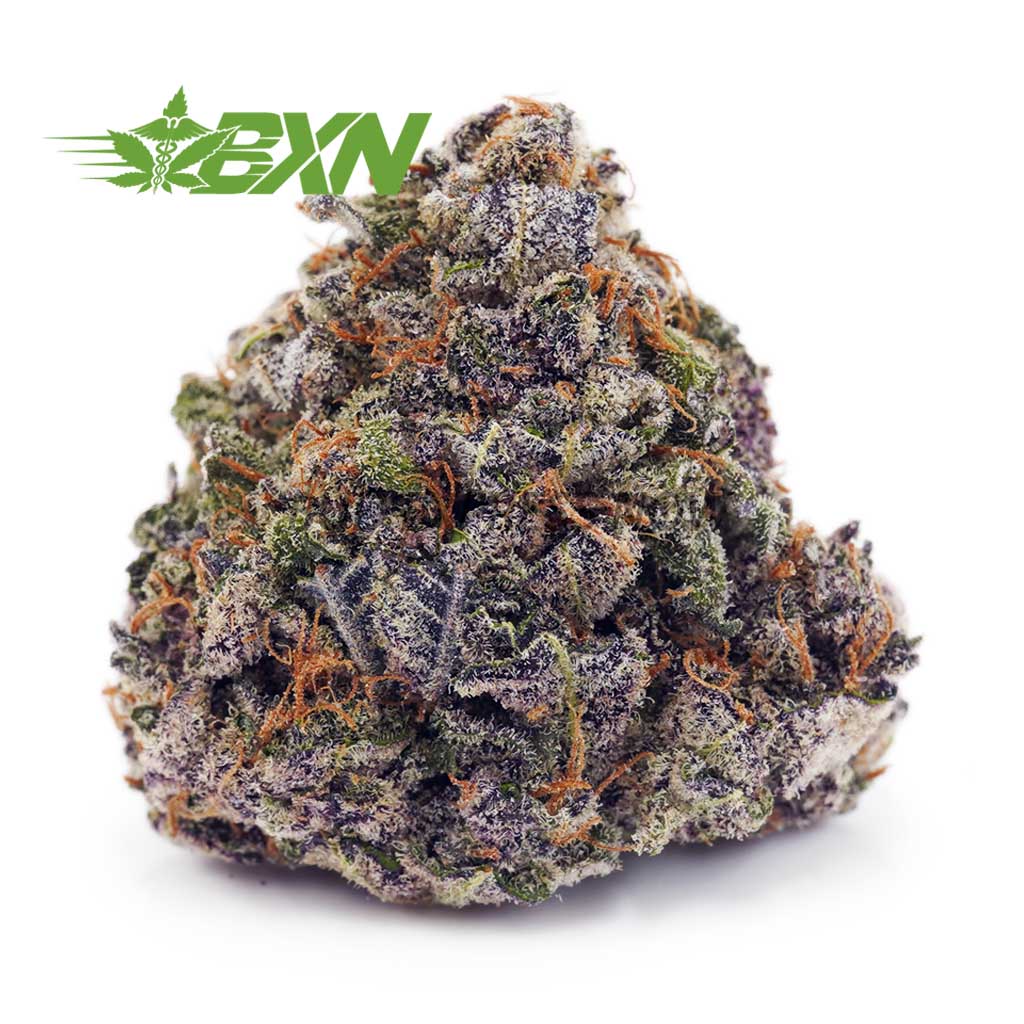 Buy Purple Haze AAA at BudExpressNOW Online Shop