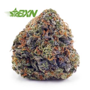 Buy Godfather OG AAA at BudExpressNOW Online Shop