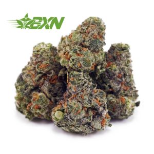 Buy Blackberry Kush AAAA (Popcorn) at BudExpressNOW Online Shop