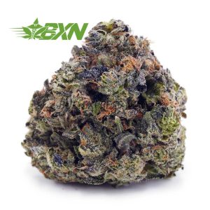 Buy Island Kush AA at BudExpressNOW Online Shop