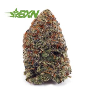 Buy Critical Kush AAAA at BudExpressNOW Online Shop