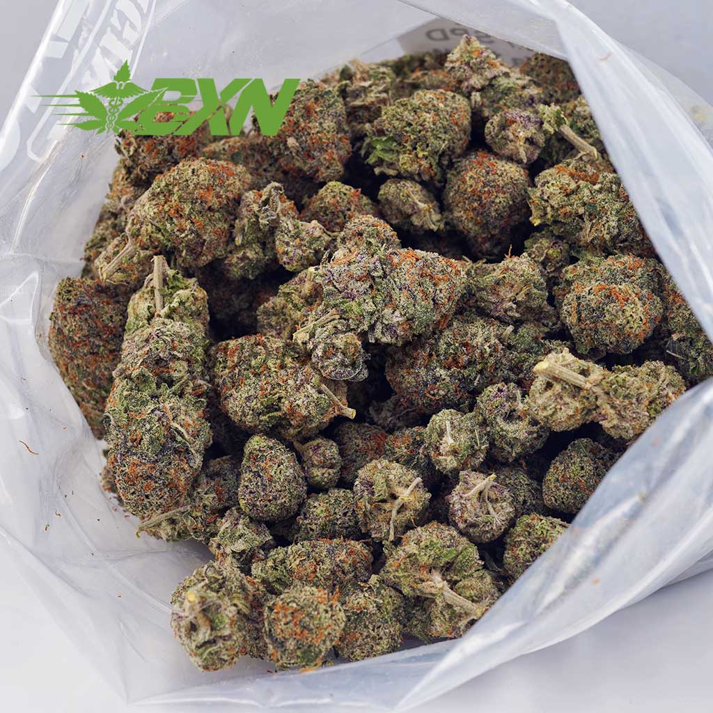 Buy Critical Kush AAAA at BudExpressNOW Online Shop Buy Critical Kush AAAA at BudExpressNOW Online Shop