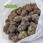 Buy Mendocino Purps AAA at BudExpressNOW Online