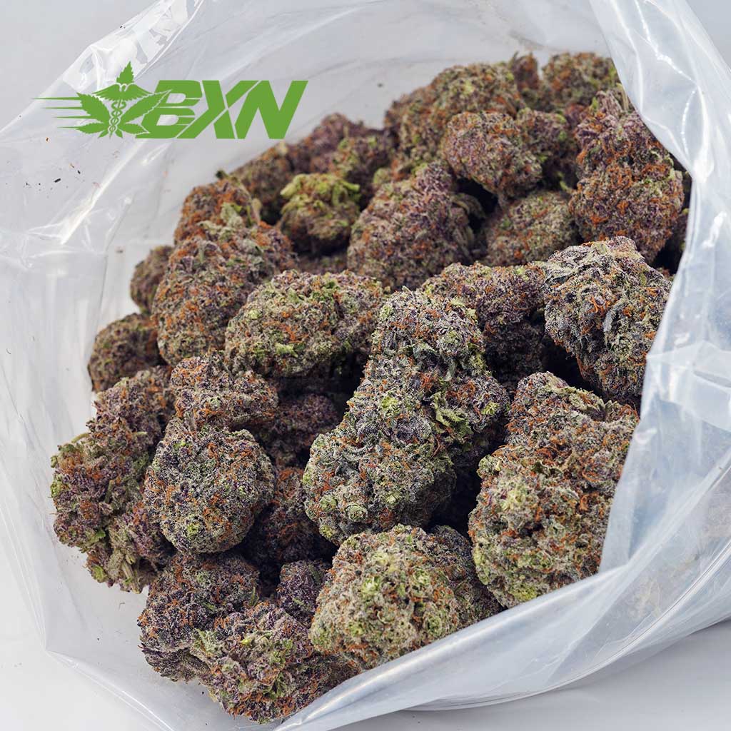 Buy Mendocino Purps AAA at BudExpressNOW Online