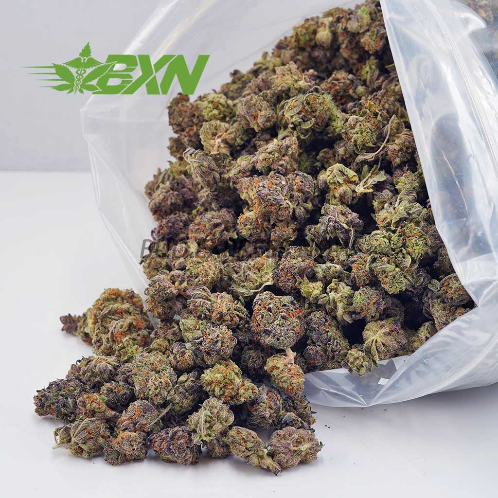 EA SUGARCOOKIESPOPCORN BXN Buy Sugar Cookies AAAA (Popcorn) at BudExpressNOW Online Shop