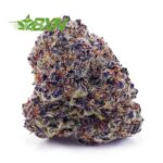 Buy Tangerine Dream AAA at BudExpressNOW Online