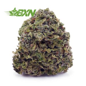 Buy Amnesia Haze AA at BudExpressNOW Online Shop