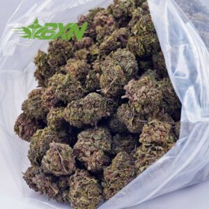 Buy Amnesia Haze AA at BudExpressNOW Online Shop