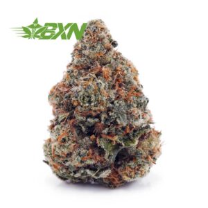 Buy Papaya Punch AAA at BudExpressNOW Online Shop