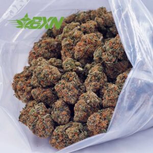 Buy King Tut AAA at BudExpressNOW Online Shop