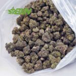 Buy Platinum Cookies AAAA (Popcorn) at BudExpressNOW Online Shop