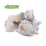 Buy Mushroom - Albino Makilla at BudExpressNOW Online Shop