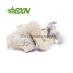 Buy Mushroom - Albino Extra Terrestrial at BudExpressNOW Online Shop