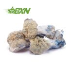 Buy Mushroom - Flipper at BudExpressNOW Online Shop