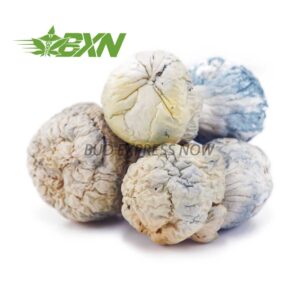 Buy Mushroom - Iceberg at BudExpressNOW Online Shop