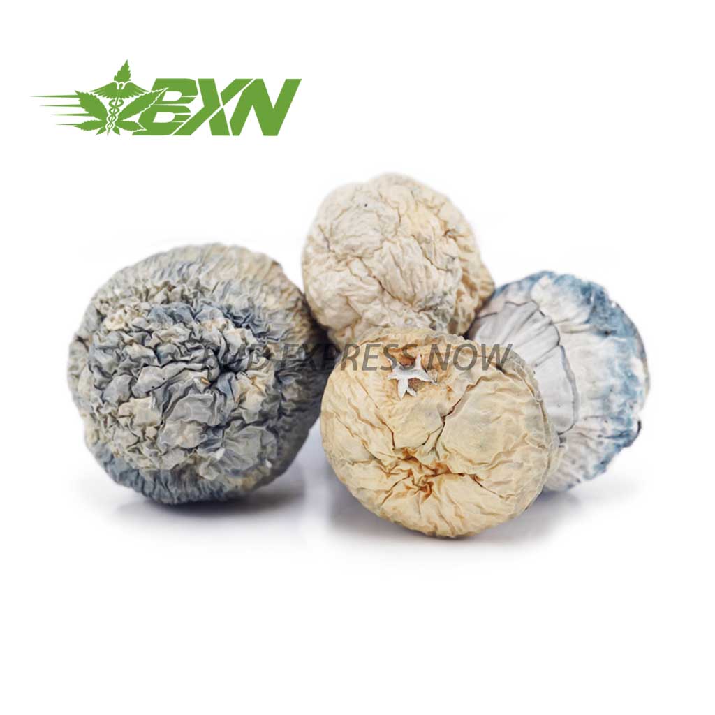 EA JACKFROST SHROOMS BXN Buy Mushroom - Jack Frost at BudExpressNOW Online Shop