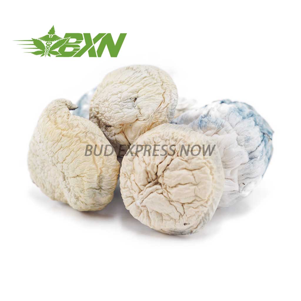 Buy Mushroom - Snow White at BudExpressNOW Online Shop