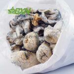 Buy Mushroom - Albino Makilla at BudExpressNOW Online Shop