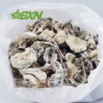 Buy Mushroom - Albino Extra Terrestrial at BudExpressNOW Online Shop