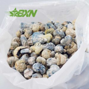 Buy Mushroom - Iceberg at BudExpressNOW Online Shop