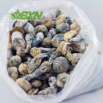 Buy Mushroom - Jack Frost at BudExpressNOW Online Shop