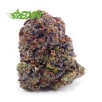 Buy Bubble Gum Kush AAAA at BudExpressNOW Online