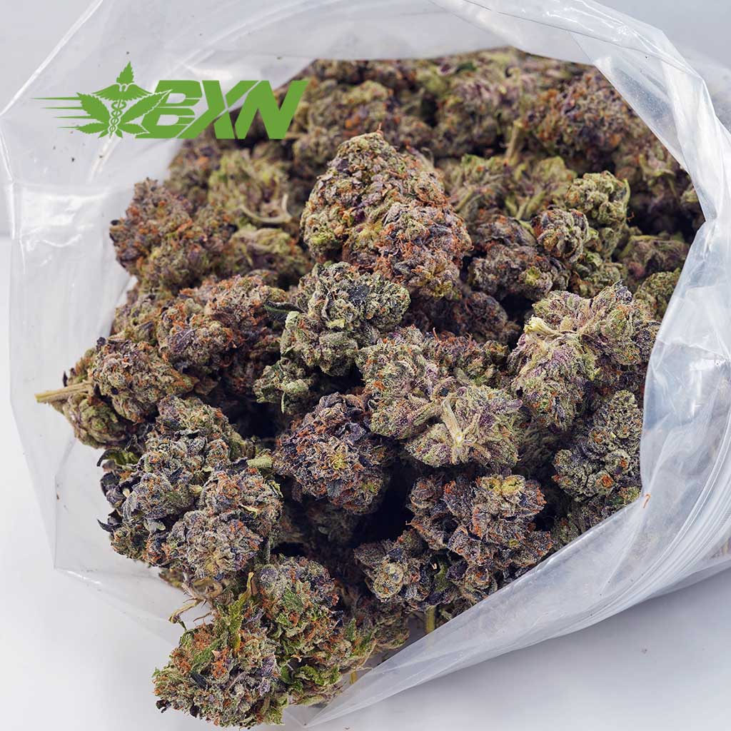 Buy Bubble Gum Kush AAAA at BudExpressNOW Online