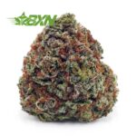 Buy Rainbow Runtz AAAA at BudExpressNOW Online Shop