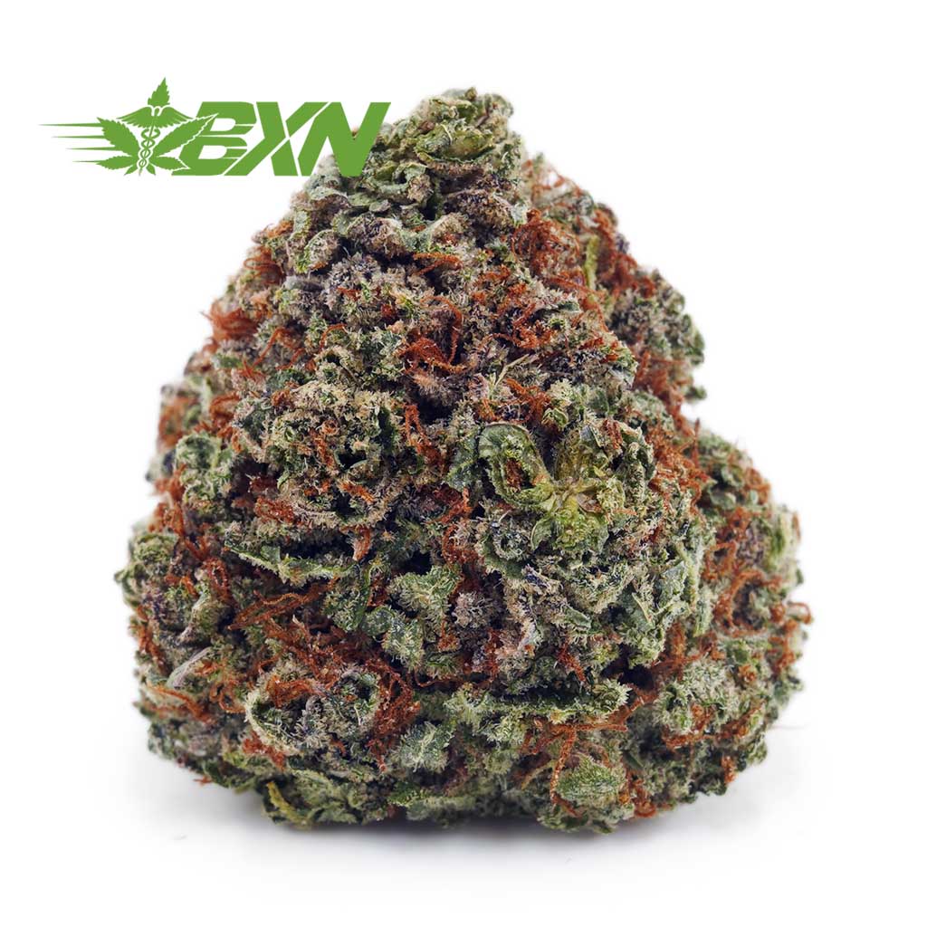 Buy Rainbow Runtz AAAA at BudExpressNOW Online Shop