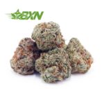 Buy Gelato #41 AAAA (Popcorn) at BudExpressNOW Online Shop