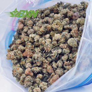 Buy Gelato #41 AAAA (Popcorn) at BudExpressNOW Online Shop