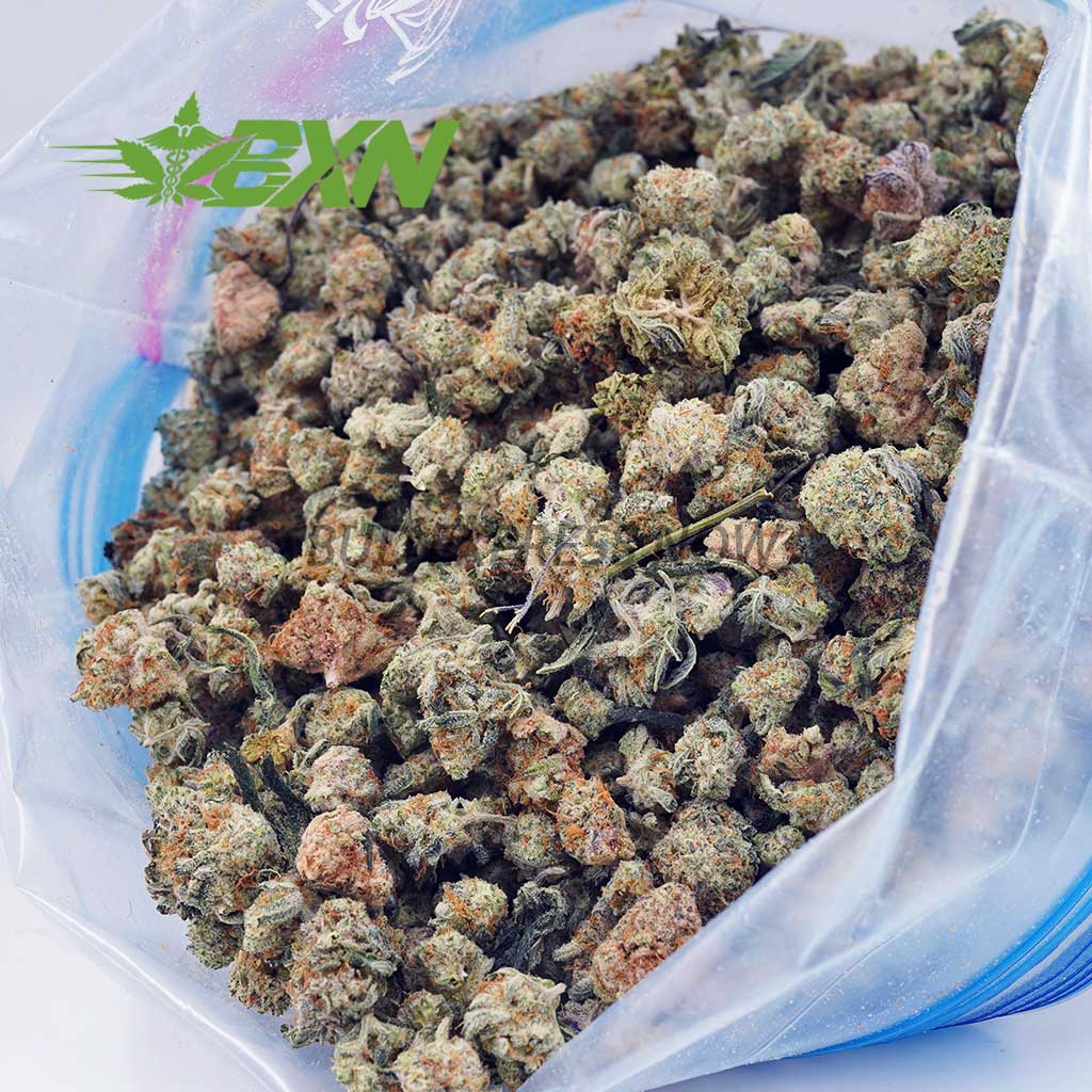 EA GELATO#POPCORN BXN Buy Gelato #41 AAAA (Popcorn) at BudExpressNOW Online Shop