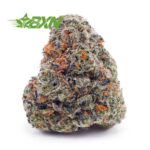 Buy Island Maui Kush AAA at BudExpressNOW Online Shop