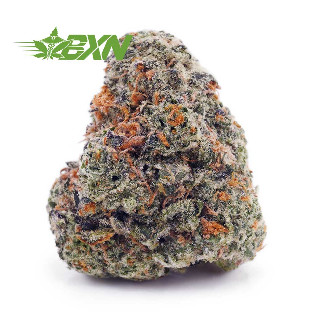 Buy Island Maui Kush AAA at BudExpressNOW Online Shop