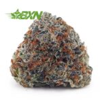 Buy Kosher Kush AAA at BudExpressNOW Online Shop