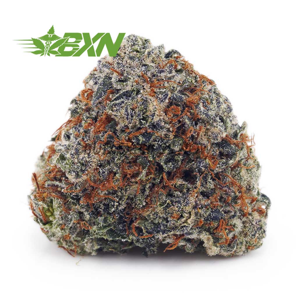 Buy Kosher Kush AAA at BudExpressNOW Online Shop