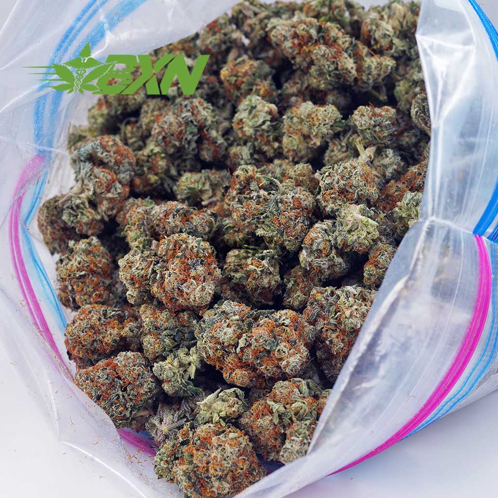 Buy Kosher Kush AAA at BudExpressNOW Online Shop