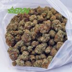 Buy Watermelon Punch AAA at BudExpressNOW Online Shop