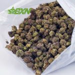 Buy Platinum Cookies AAAA (Popcorn) at BudExpressNOW Online Shop