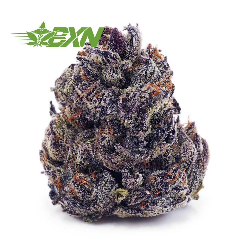 Buy Budzilla (Craft) at BudExpressNOW Online Shop