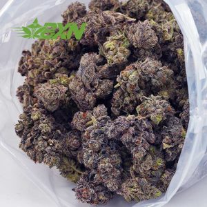 Buy Budzilla (Craft) at BudExpressNOW Online Shop