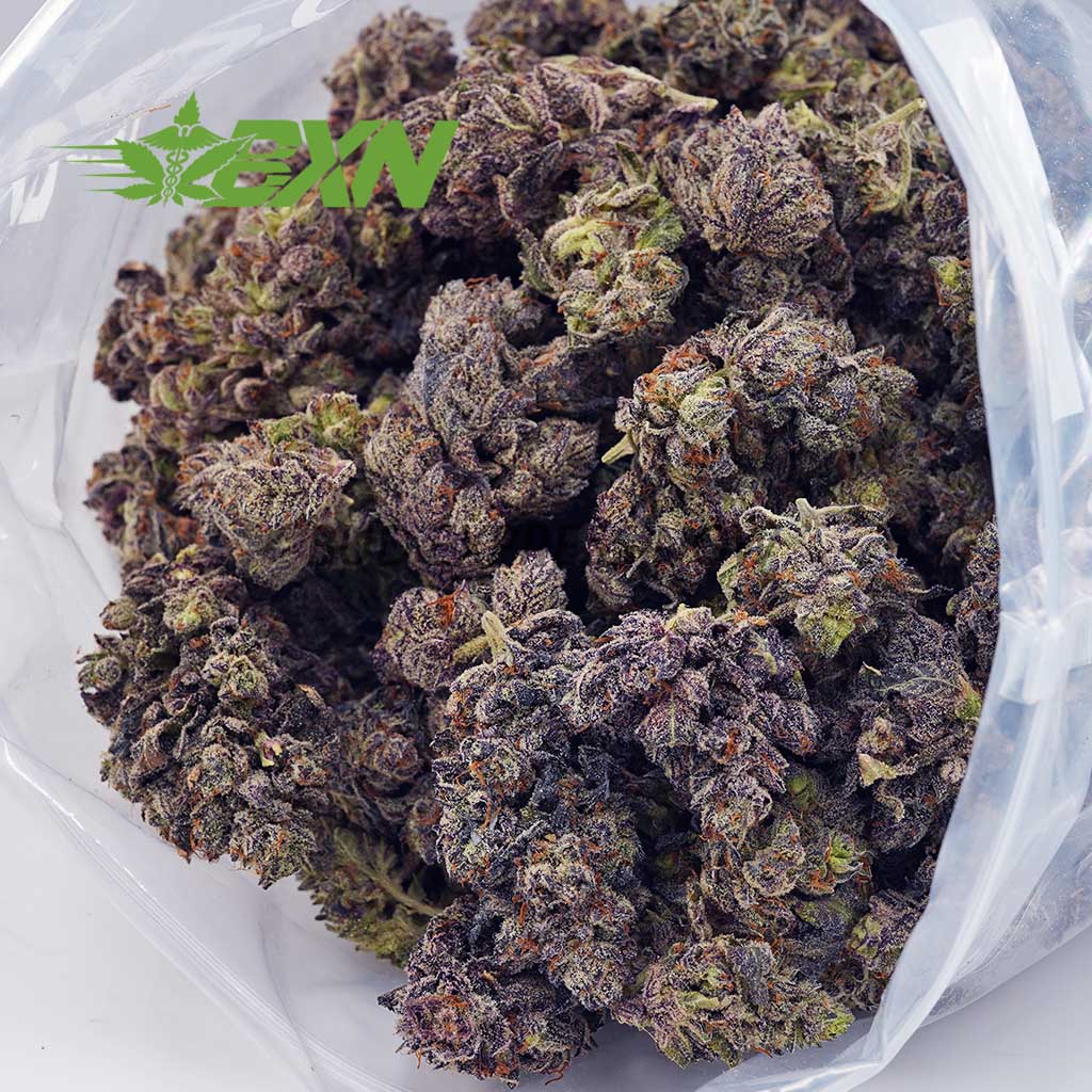 Buy Budzilla (Craft) at BudExpressNOW Online Shop