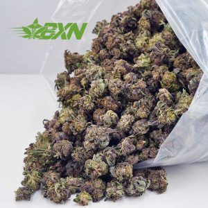 Buy Orange Juice Kush AAAA (Popcorn) at BudExpressNOW Online Shop